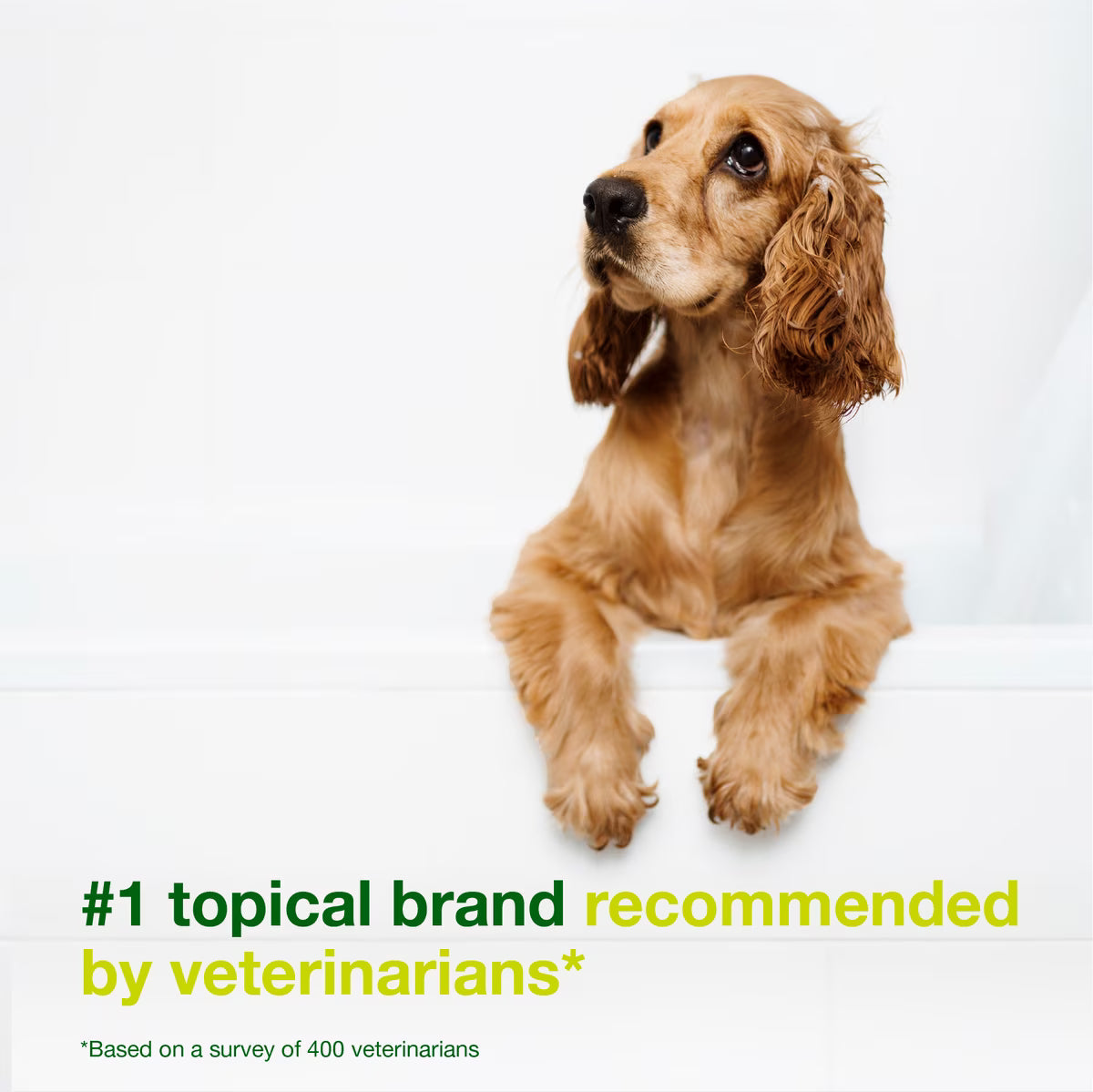 Douxo S3 SEB Odor-Control Seboregulating Dog & Cat Shampoo - Medicated Shampoos & Sprays 5