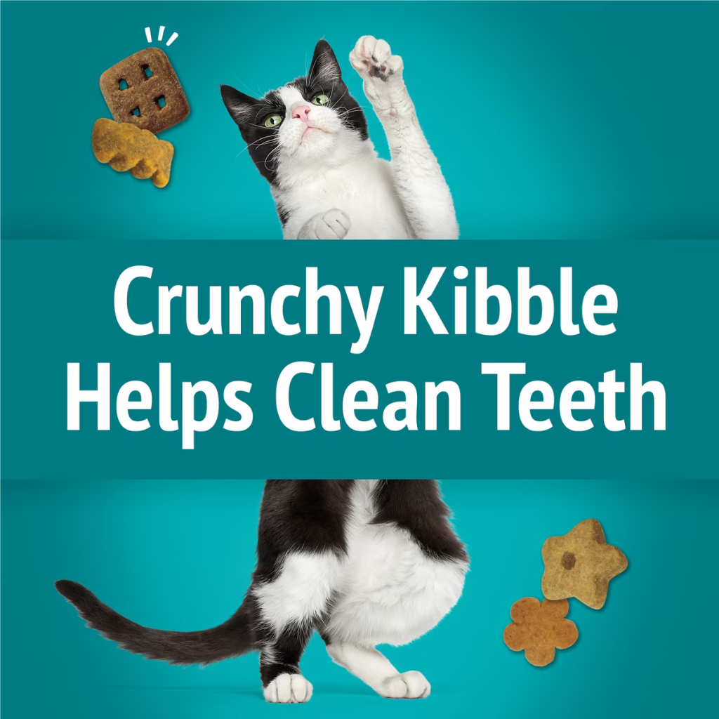 Friskies Party Mix Meow Luau Crunch Cat Treats (2.1 oz) - Cat Treats 4