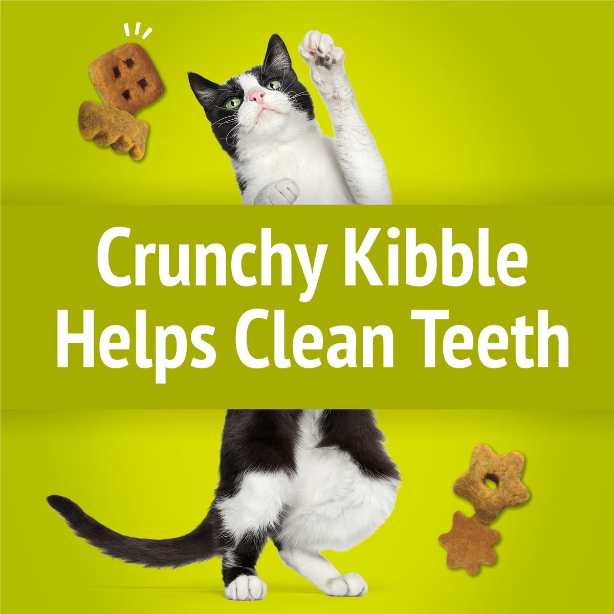 Friskies Party Mix Morning Much Crunchy Cat Treats (6 oz) - Cat Treats 5