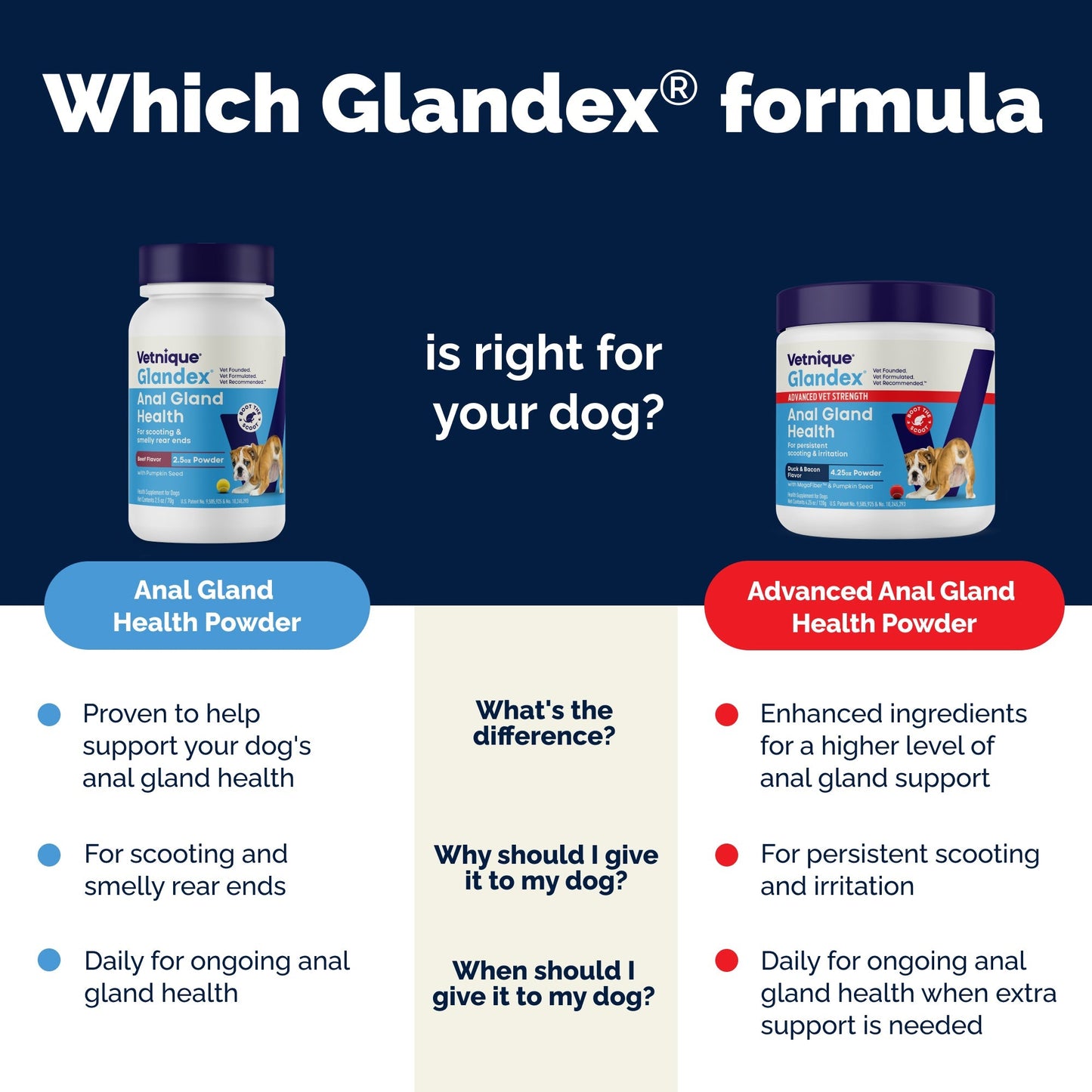 Glandex Anal Gland Support Pork Liver Flavored Powder for Dogs & Cats - Dog & Cat Digestive & Probiotics Supplements 7