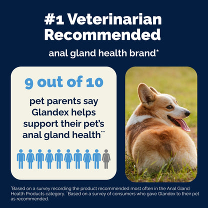 Glandex Anal Gland Support Peanut Butter Soft Chews for Dogs - Dog Supplements & Vitamins 8