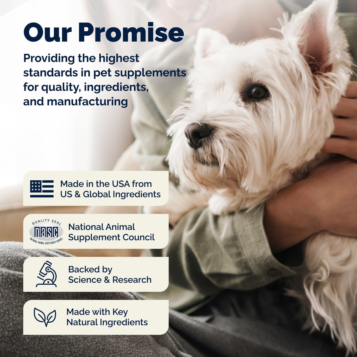 Glandex Anal Gland Support Peanut Butter Soft Chews for Dogs - Dog Supplements & Vitamins 12