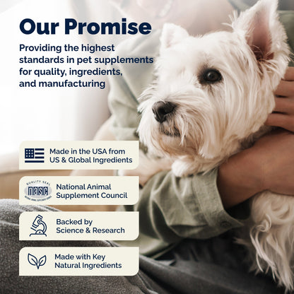 Glandex Anal Gland Support Peanut Butter Soft Chews for Dogs - Dog Supplements & Vitamins 12