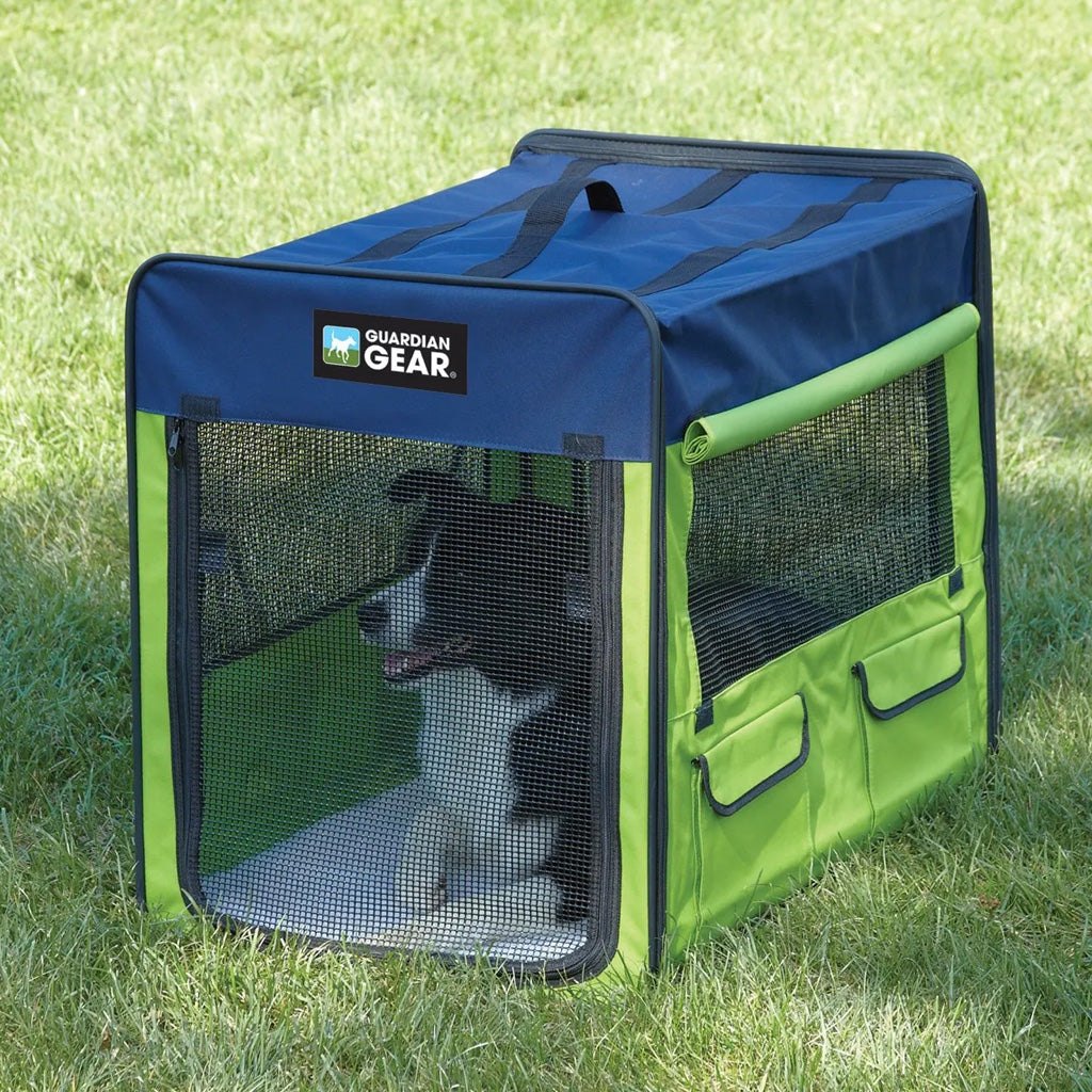 Green and blue pet crate with a dog inside on grass