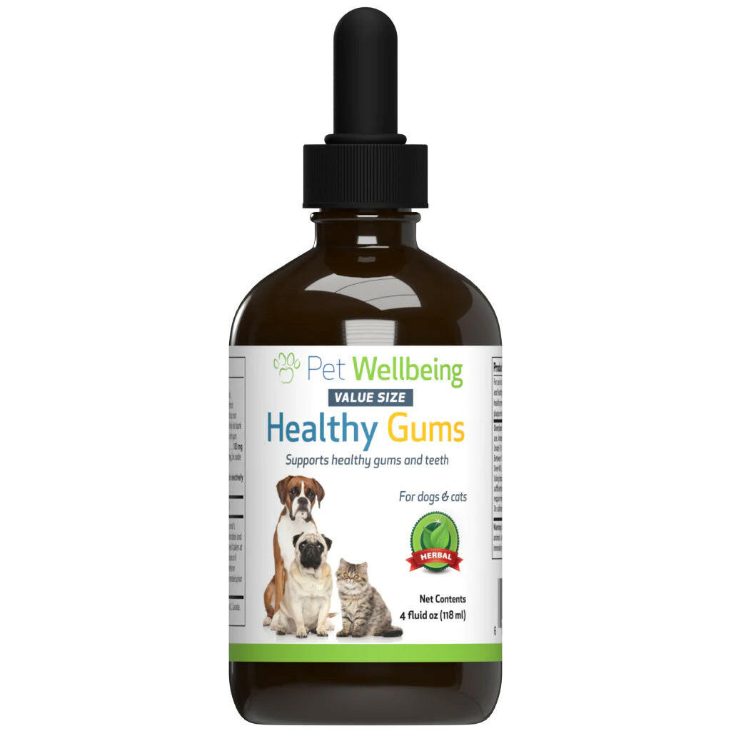 Healthy Gums for Feline Periodontal Health - Cat Dental Care 2