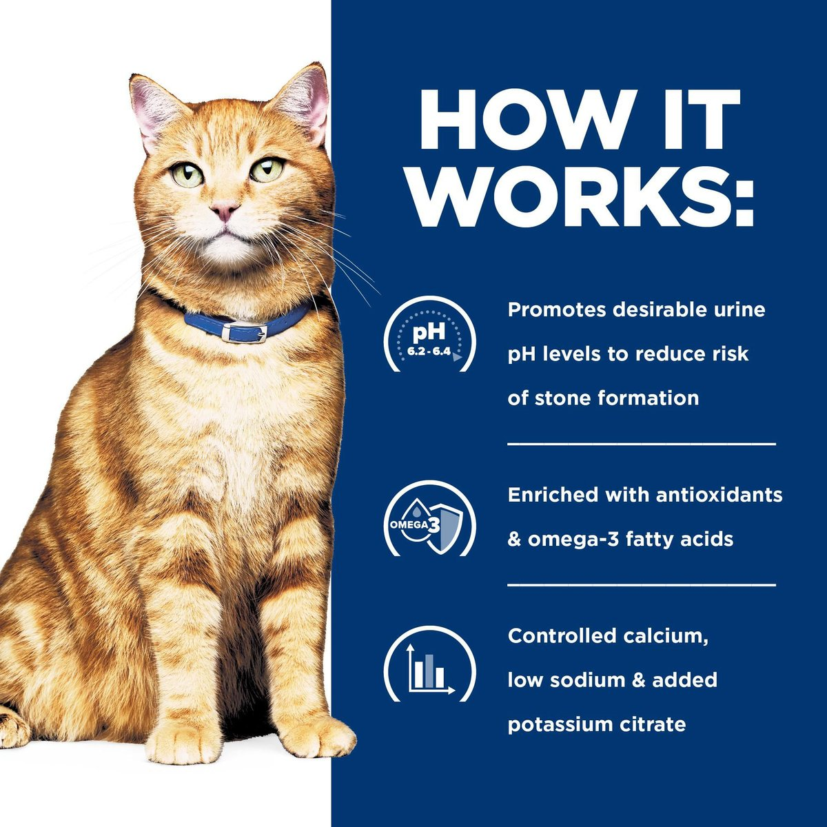 Hill’s Prescription Diet c/d Multicare Urinary Care Chicken Vegetable & Rice Stew Wet Cat Food (2.8 oz x 24 pouches)