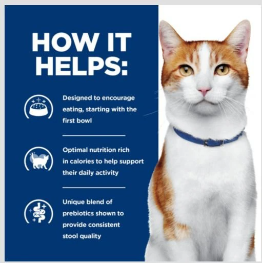 Hill's Prescription Diet ONC Care with Chicken Dry Cat Food, 7 lb bag