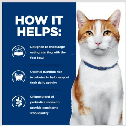 Hill's Prescription Diet ONC Care with Chicken Dry Cat Food, 7 lb bag