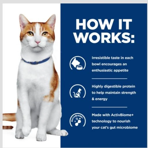 Hill's Prescription Diet ONC Care with Chicken Dry Cat Food, 7 lb bag