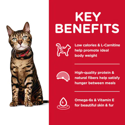 Key benefits
