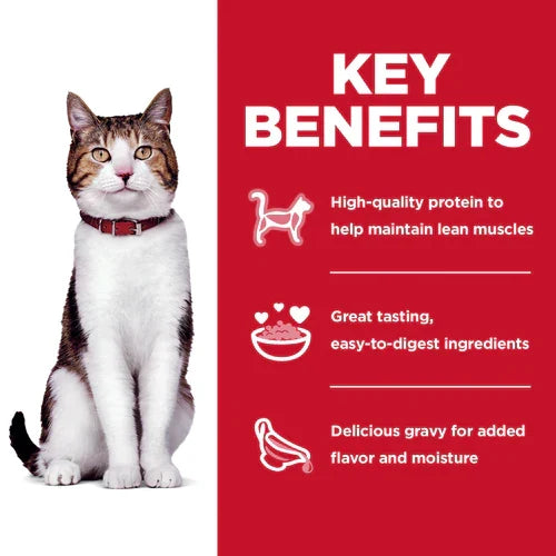 Key benefits