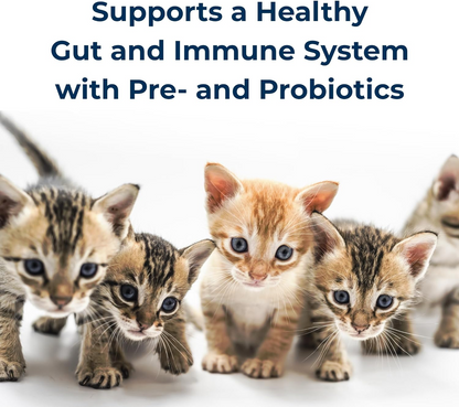 kmr kitten formula supports a healthy gut and immune system