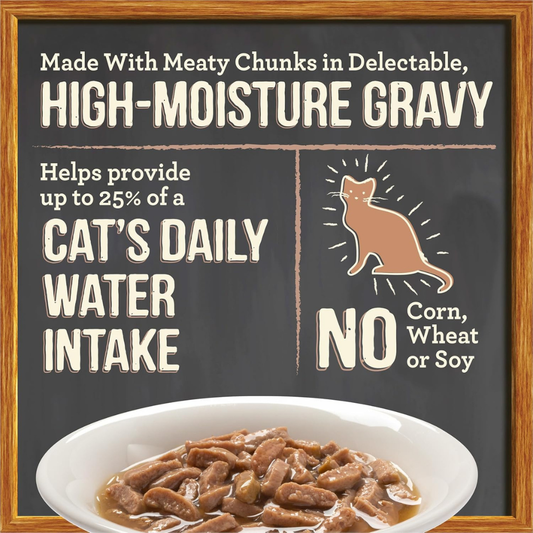Merrick Purrfect Bistro Grain Free Bon Appetits Gravies Adult Wet Cat Food Turkey Recipe Chunks in Gravy (3 oz x 24