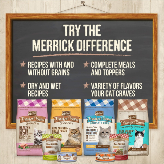 Merrick Purrfect Bistro Grain Free Premium Pate Kitten Wet Cat Food Chicken Dinner Recipe for Kittens (5.5 oz x 24