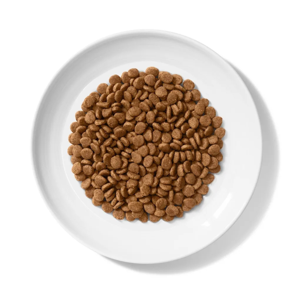 Merrick Purrfect Bistro Grain Free Salmon & Sweet Potato Recipe Dry Cat Food - Cat Food 3
