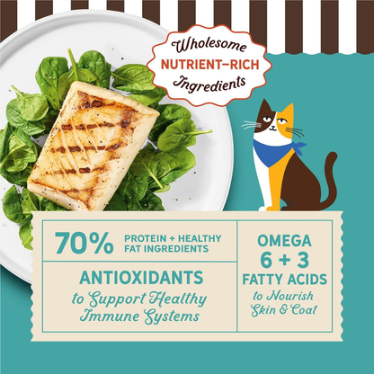 Merrick Purrfect Bistro Grain Free Wild-Caught Ocean Whitefish & Spinach Recipe Dry Cat Food - Cat Food 4