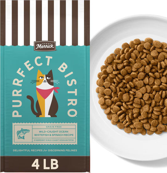 Merrick Purrfect Bistro Grain Free Wild-Caught Ocean Whitefish & Spinach Recipe Dry Cat Food - 4 lb - Cat Food 1