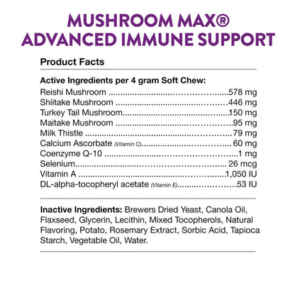 NaturVet Mushroom Max Advanced Immune Support Soft Chews