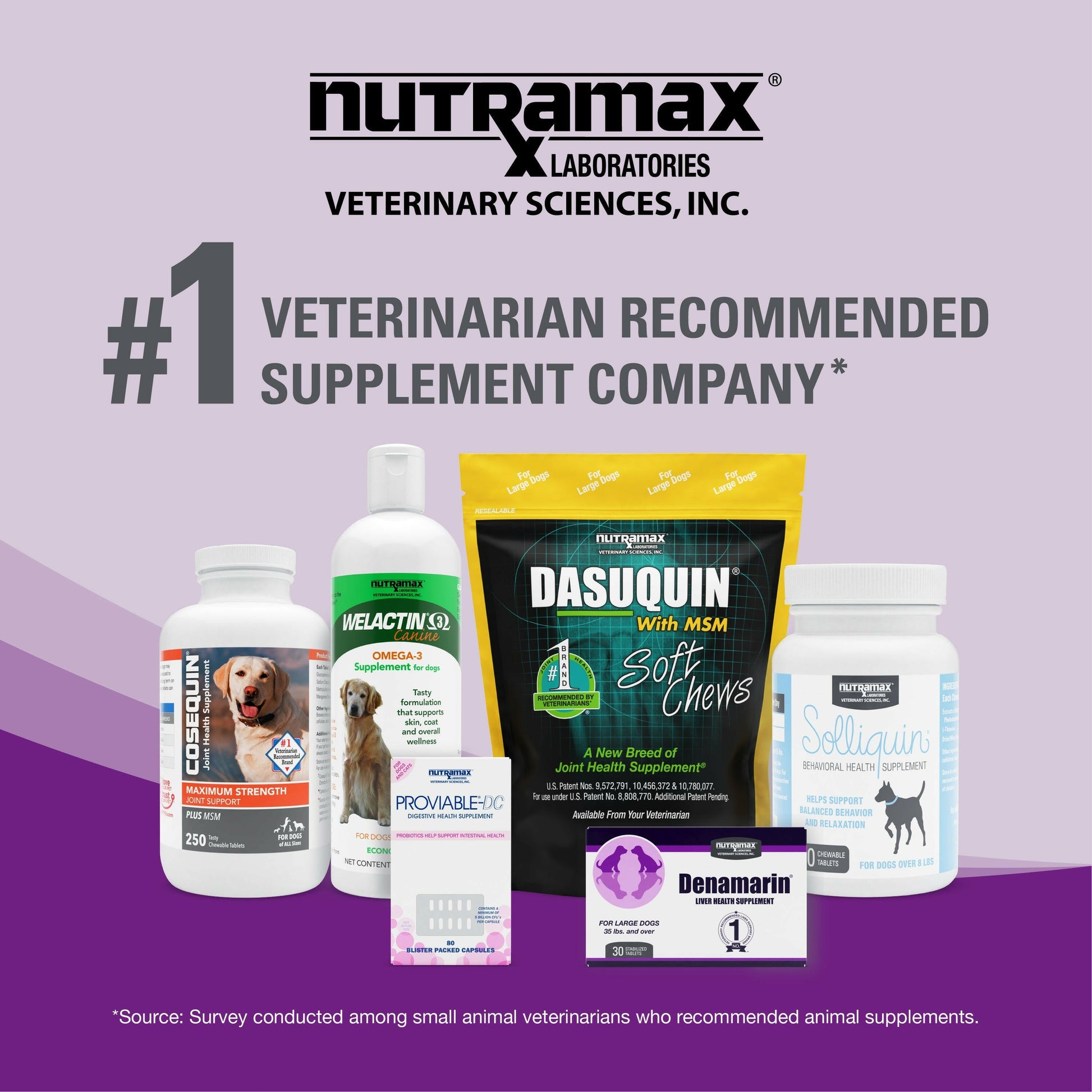 Veterinary Recommended Label on Dasuquin Bottle