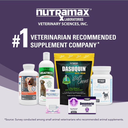 nutramax for dogs