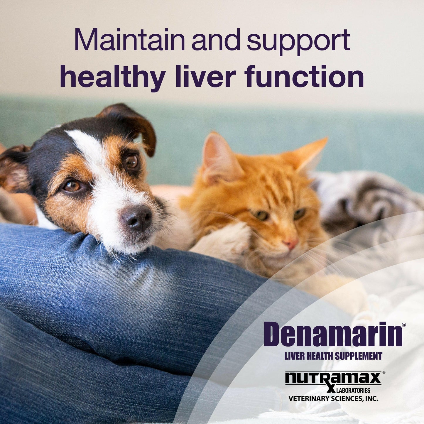 nutramax denamarin