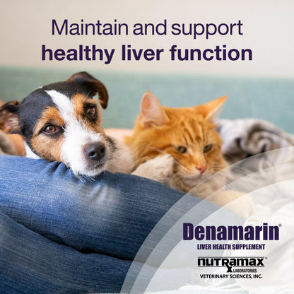 nutramax denamarin