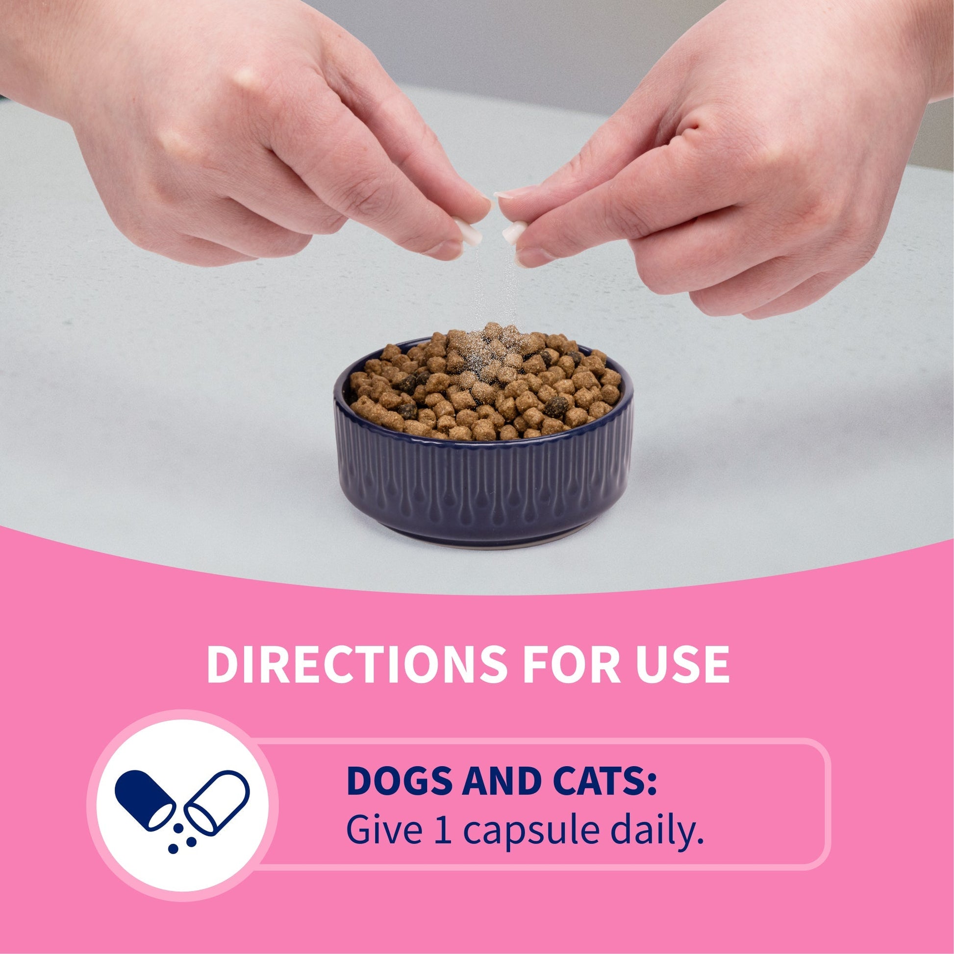 Nutramax Proviable-DC Digestive Health Supplement - Probiotics for Dogs & Cats - Dog Supplements & Vitamins 5