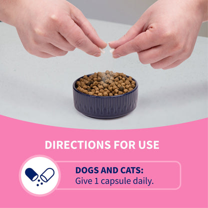 Nutramax Proviable-DC Digestive Health Supplement - Probiotics for Dogs & Cats - Dog Supplements & Vitamins 5