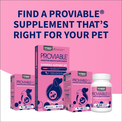 Nutramax Proviable-DC Digestive Health Supplement - Probiotics for Dogs & Cats - Dog Supplements & Vitamins 10