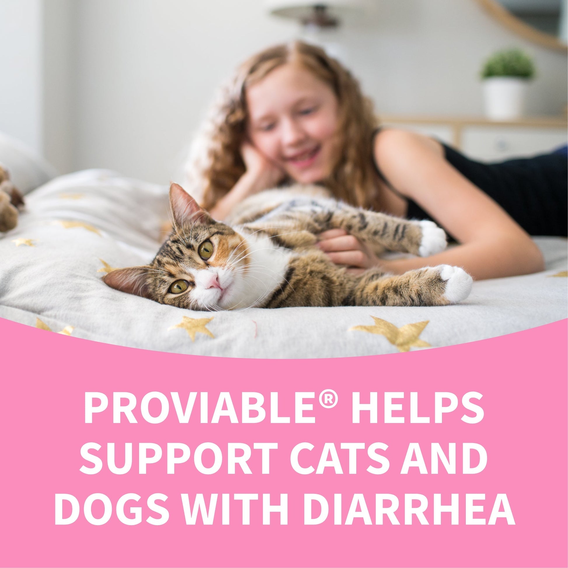 Nutramax Proviable-DC Digestive Health Supplement - Probiotics for Dogs & Cats - Dog Supplements & Vitamins 8