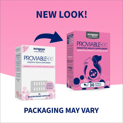 Nutramax Proviable-DC Digestive Health Supplement - Probiotics for Dogs & Cats - Dog Supplements & Vitamins 2