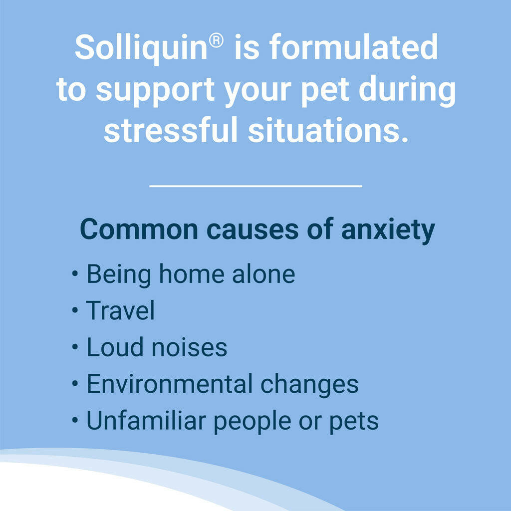 nutramax solliquin