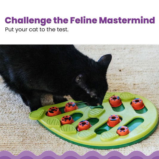 Outward Hound Nina Ottosson Buggin' Out Puzzle & Play Interactive Treat Puzzle For Cat