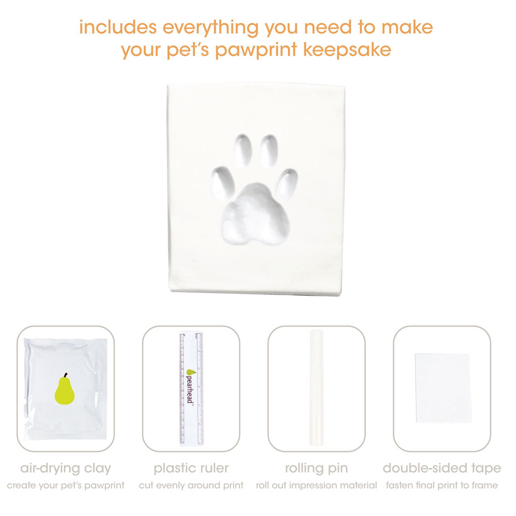 Pet pawprint keepsake kit with air-drying clay, plastic ruler, rolling pin, and double-sided tape on a white background.