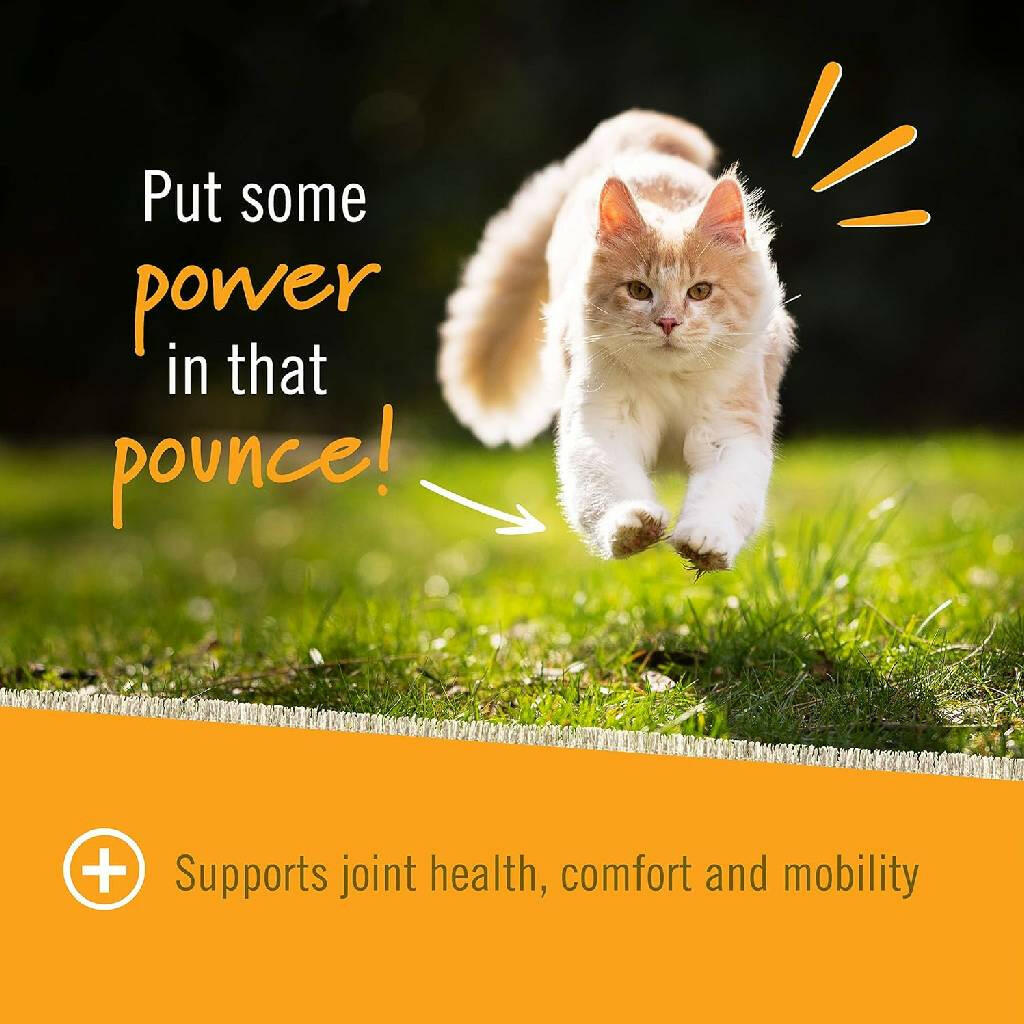 Pet Naturals Hip + Joint Chews for Cats (30 count)