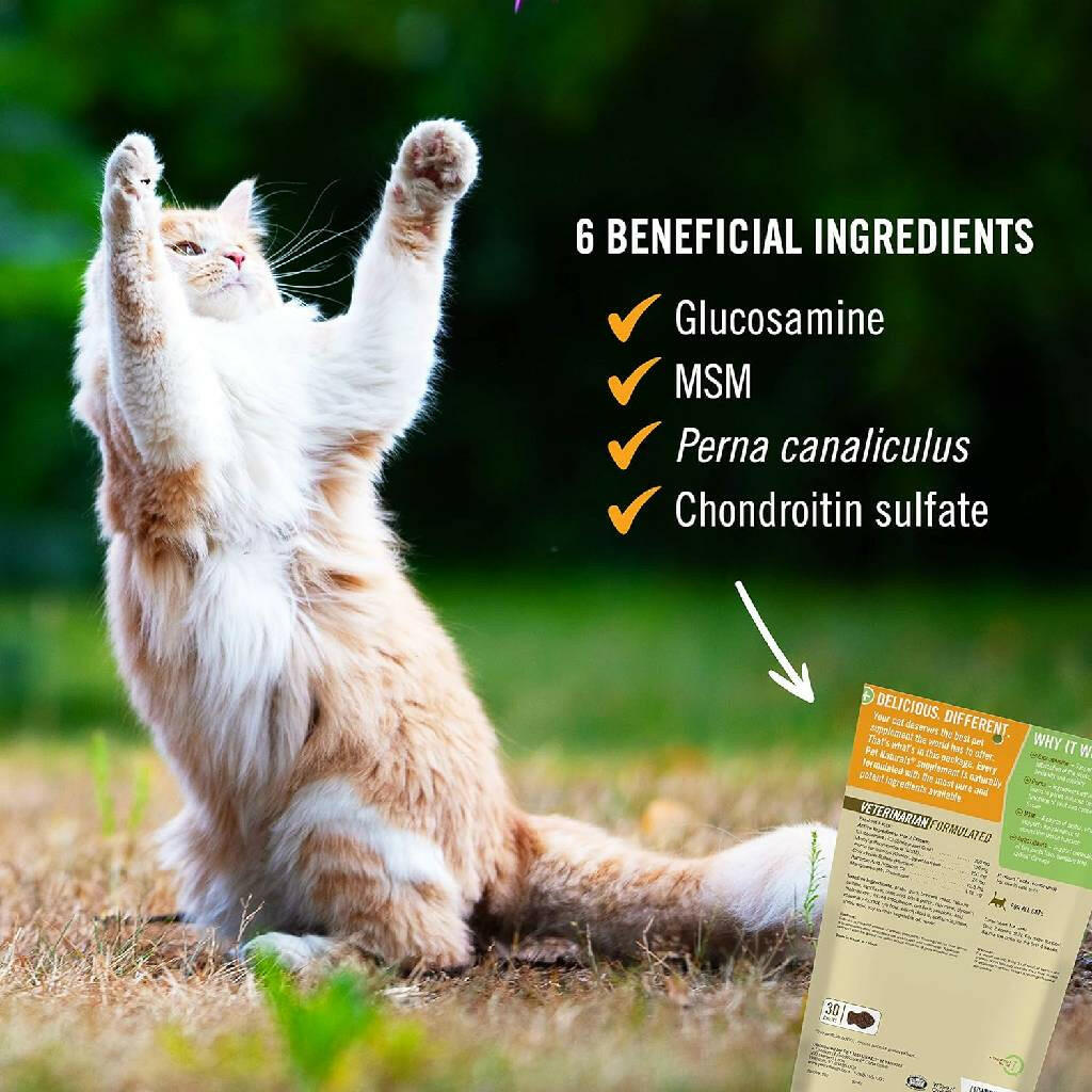 Pet Naturals Hip + Joint Chews for Cats (30 count)
