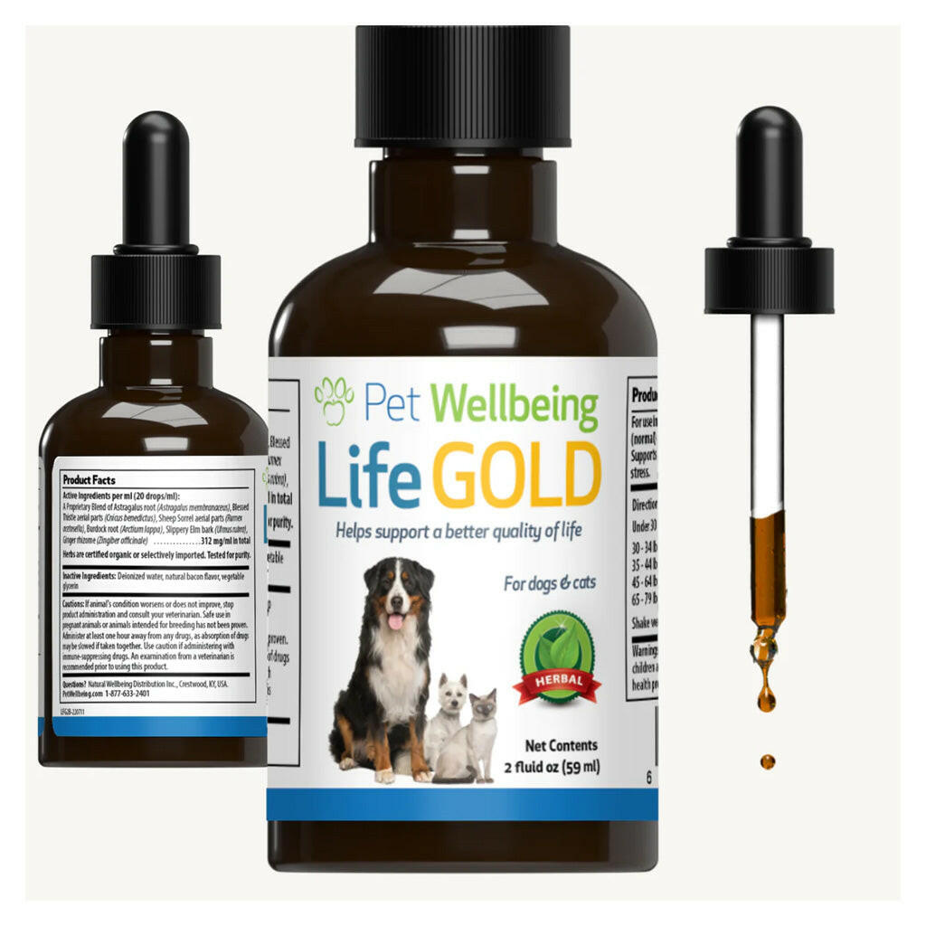 Life Gold Trusted Care for Cat Cancer