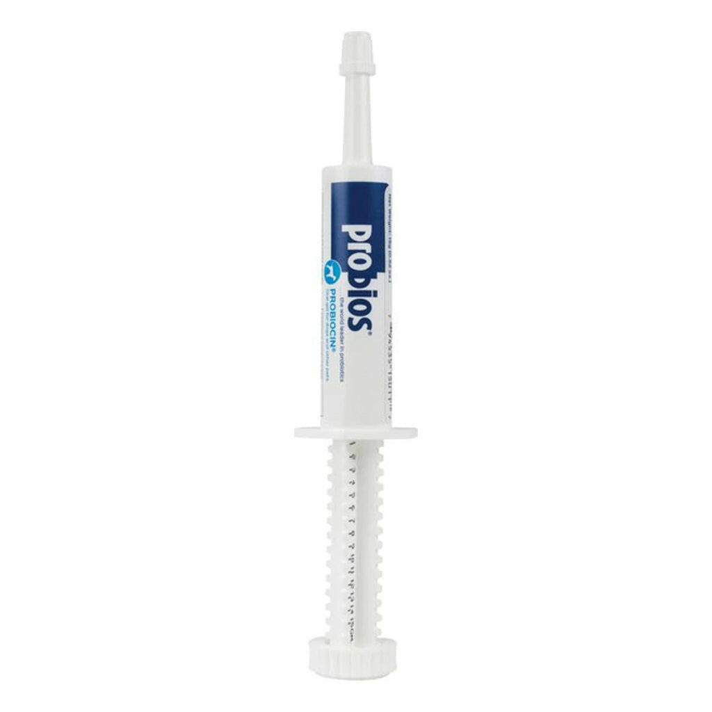 probiocin gel