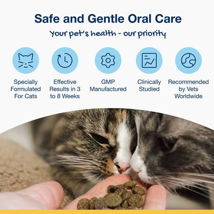ProDen PlaqueOff Holistic Soft Bites Oral Care Sweet Potato & Chicken Flavor Dental Cat Treats 3-oz - Cat Treats 8