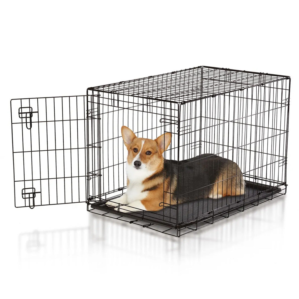 Dog inside a black metal crate on a white background
