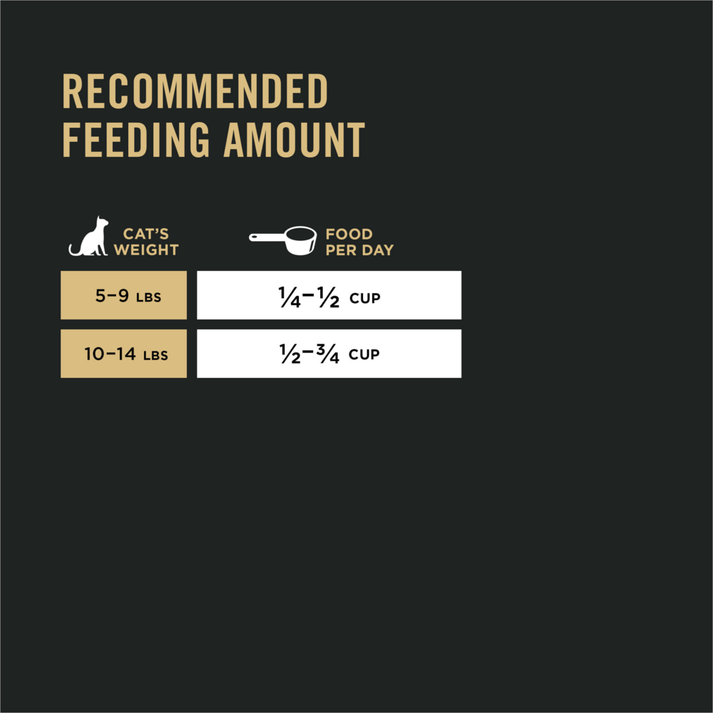 Purina Pro Plan Focus Adult Sensitive Skin & Stomach Lamb & Rice Formula Dry Cat Food