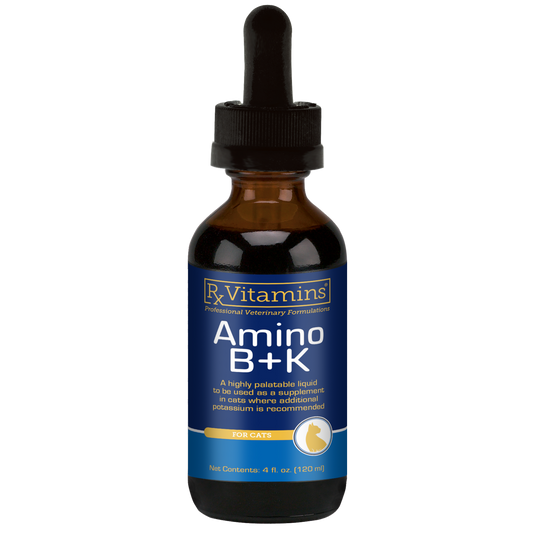 Rx Vitamins Amino B + K Kidney Support for Cats (4 oz) - Cat Supplements & Vitamins 1