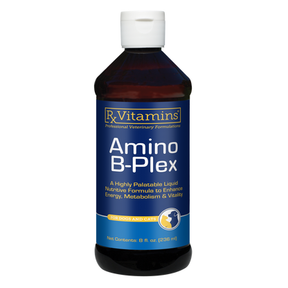 Rx Vitamins Amino B Plex B Vitamin Complex Plus Amino Acids - 8 oz - Dog Supplements & Vitamins 10