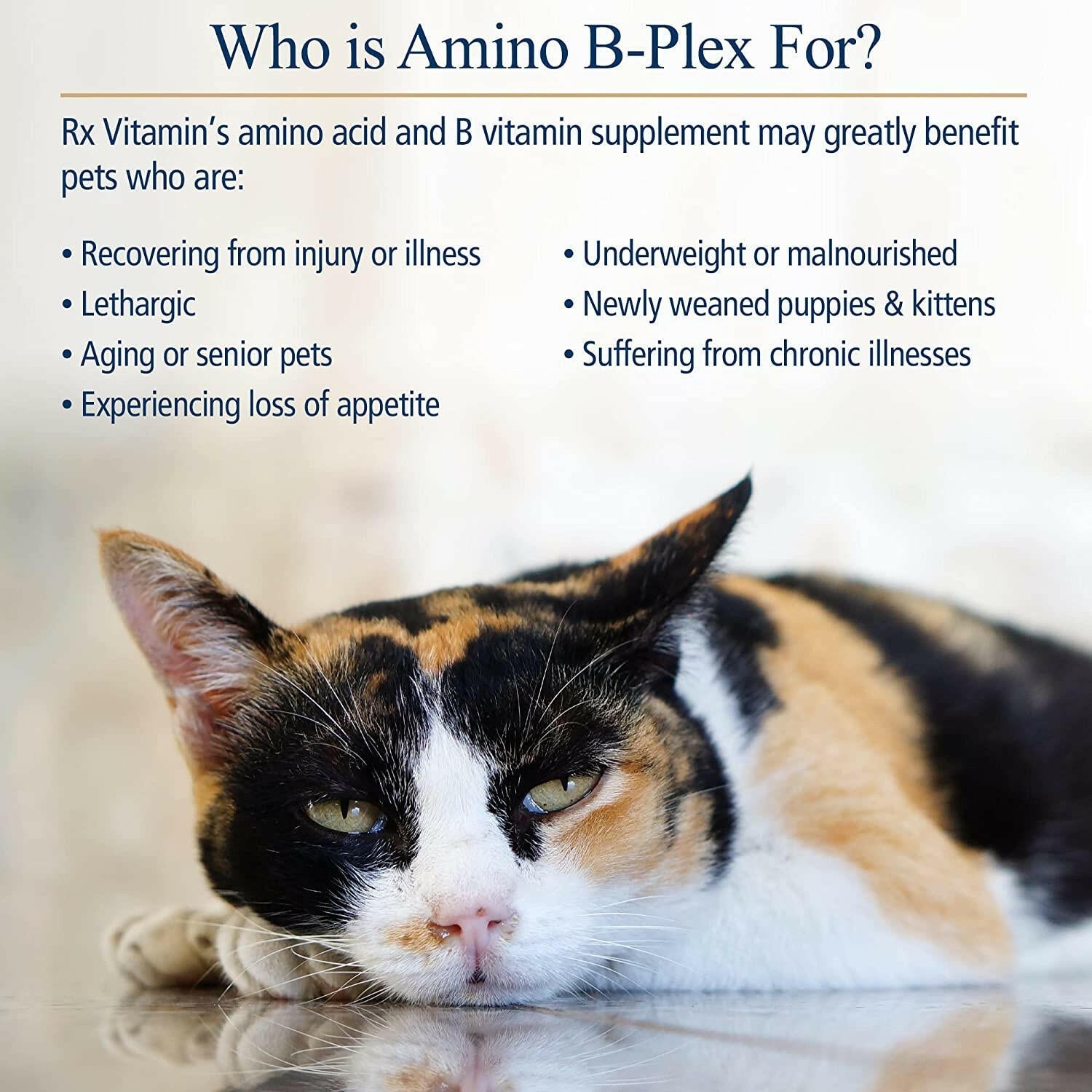 Rx Vitamins Amino B Plex B Vitamin Complex Plus Amino Acids - Dog Supplements & Vitamins 3
