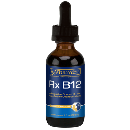Rx Vitamins Rx B12 Liquid Digestive Supplement For Dogs and Cats (4 oz) - Dog & Cat Supplements & Vitamins 1