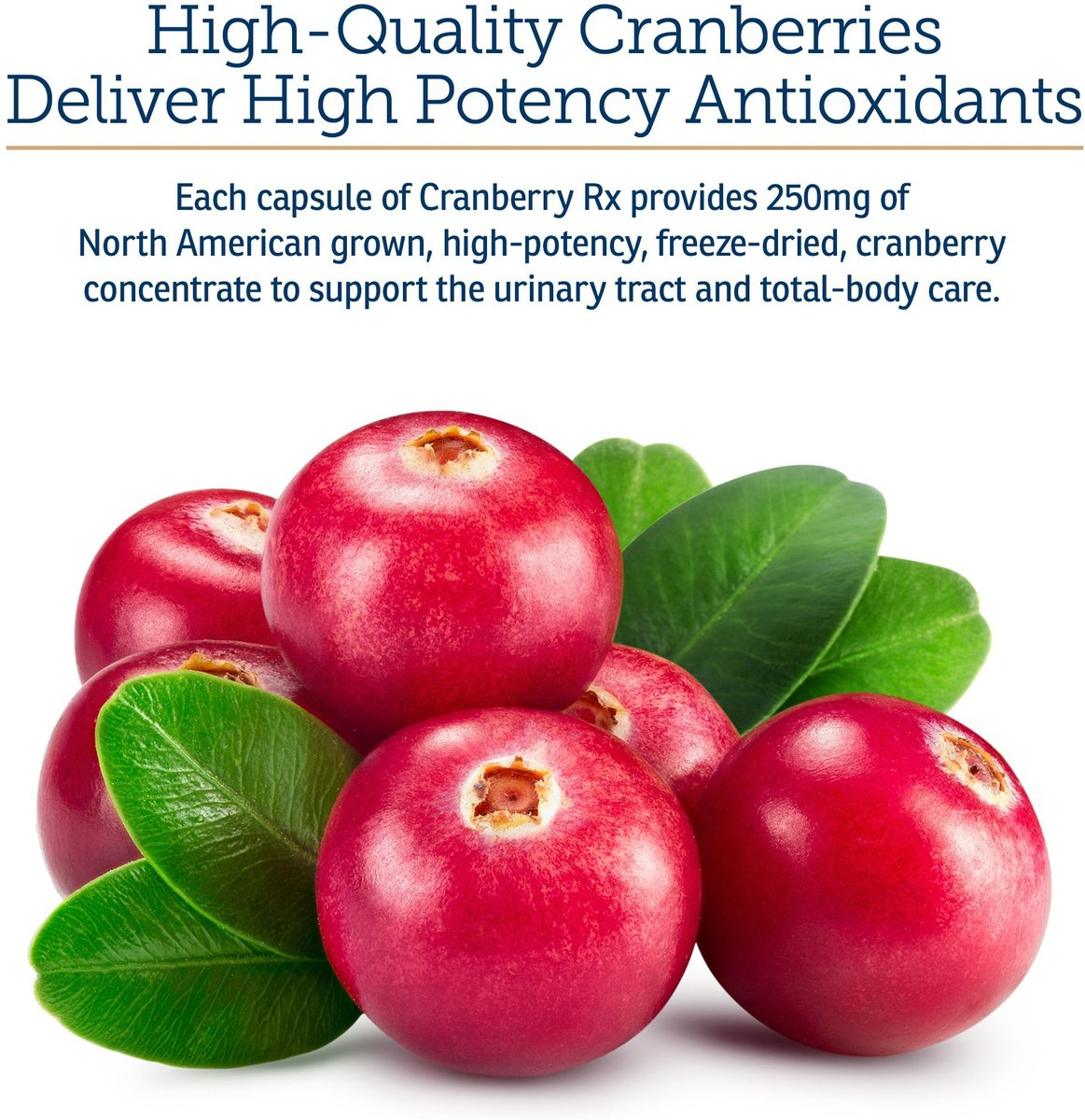 Rx Vitamins Cranberry Rx For Dogs and Cats (90 caps) - Cat and Dog & Probiotics Supplements 2