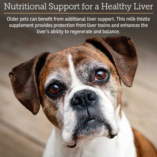 Rx Vitamins Hepato Liquid Liver Supplement for Dogs & Cat -Chicken Flavor (4 oz) - Dog & Cat Supplements & Vitamins 2