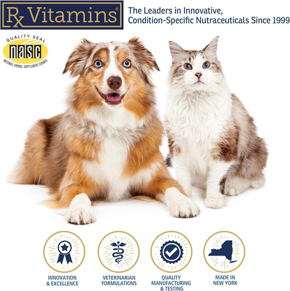 Rx Vitamins Rx Clay Powder Digestive Supplement for Dogs & Cats (100g) - Dog Supplements & Vitamins 7