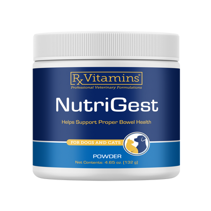 Rx Vitamins Nutrigest Powder Bowel Health Supplement For Dogs & Cats (132 g) - Dog & Cat Supplements & Vitamins 1