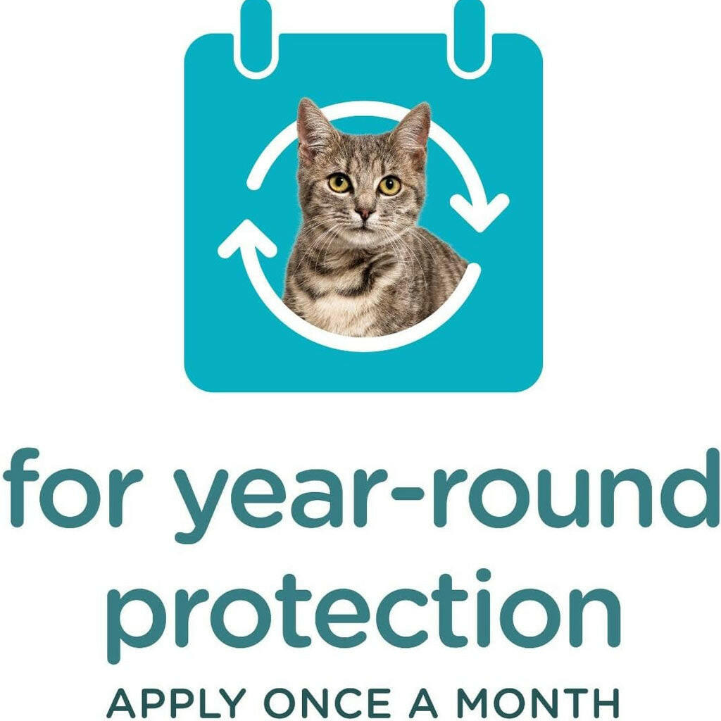 Sergeant’s Guardian Pro Flea & Tick Topical for Cats 6 lbs and over 3-month supply - Flea & Tick Collars 8